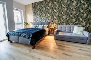 Wolkerovka Apartment 2 Olomouc
